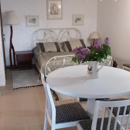 Guest house Parasolka *
